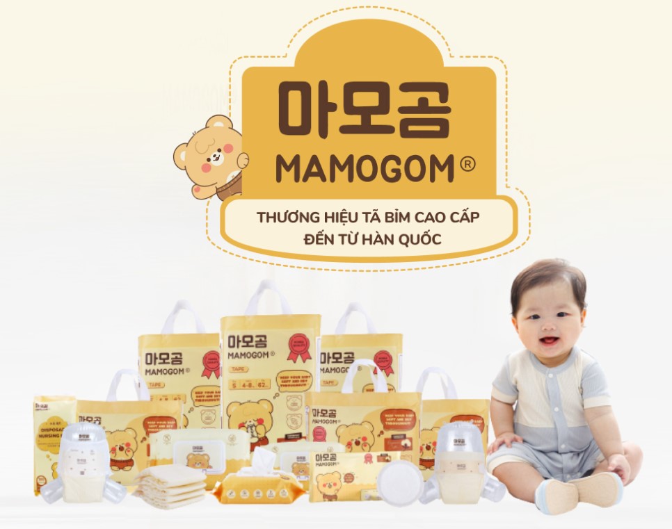 lĩnh vực hoạt động